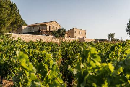 Événements, Domaine & Vignoble Occitanie, Haute Fontaine