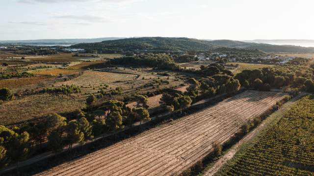 Événements, Domaine &amp; Vignoble Occitanie, Haute Fontaine