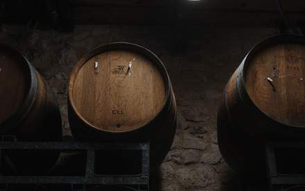 Événements &amp; Vignoble Occitanie, Haute Fontaine