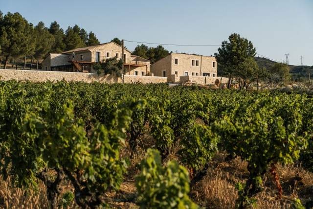 Événements, Domaine &amp; Vignoble Occitanie, Haute Fontaine