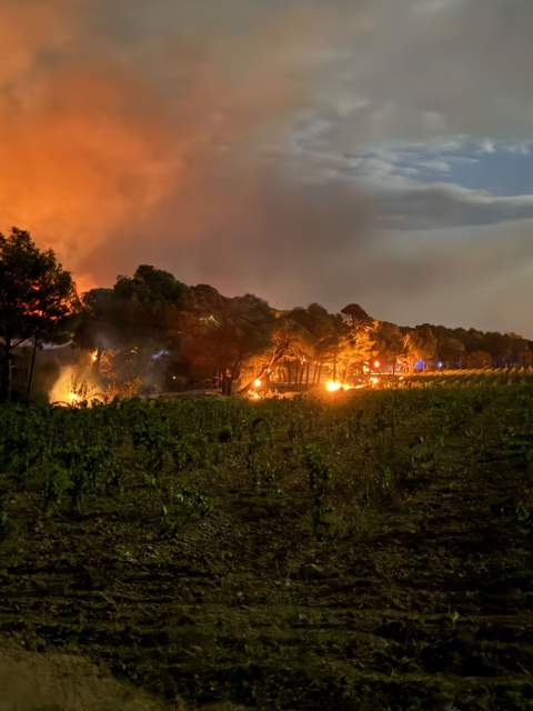 Événements, Domaine & Vignoble Occitanie, Haute Fontaine